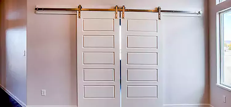 Glass Barn Door with Installation Hardware Kit Naperville