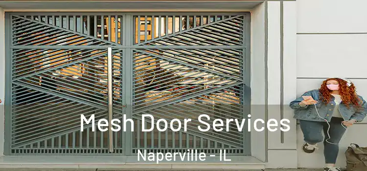 Mesh Door Services Naperville - IL